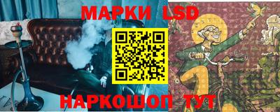 гидропоника Краснознаменск