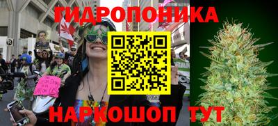 гидропоника Краснознаменск