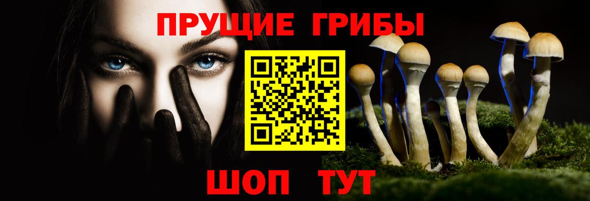 Кемерово  Галлюциногенные грибы Psilocybe  Вход с VPN 